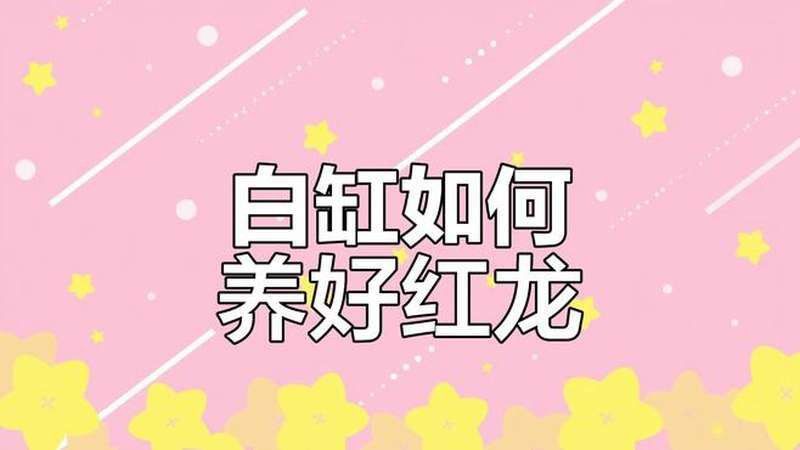 養紅龍魚視頻講座圖片