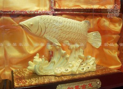 黃金恐龍魚價格多少一只（黃金恐龍魚價格查詢）