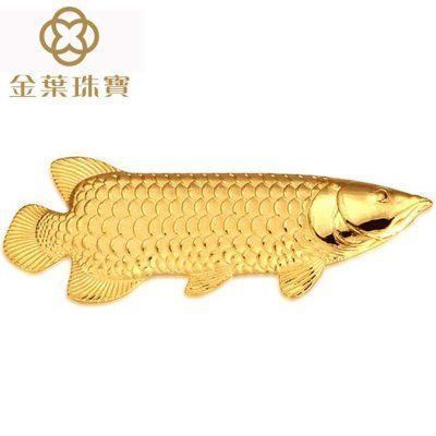 黃金恐龍魚價格多少一只（黃金恐龍魚價格查詢）