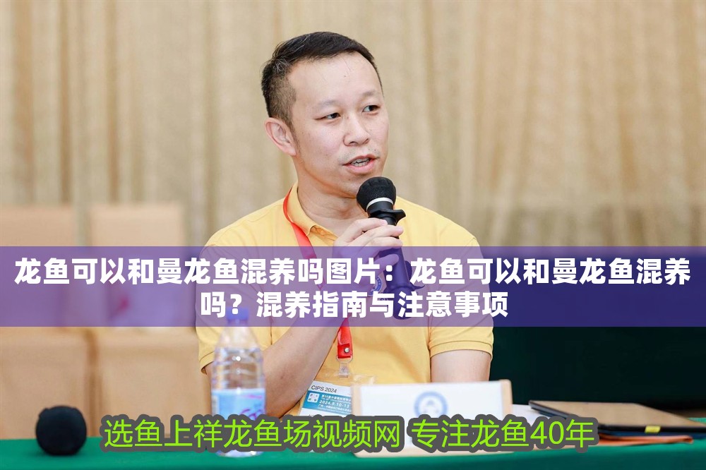 龍魚可以和曼龍魚混養嗎圖片：龍魚可以和曼龍魚混養嗎？混養指南與注意事項