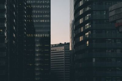 檸檬鯽1型與其他品種的區別（檸檬鯽1型與其他品種有什么區別） 檸檬鯽1型與其他品種的區別（檸檬鯽1型與其他品種有什么區別） 龍魚百科 第1張