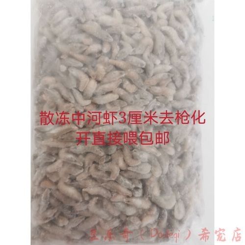 頂級紅龍魚品牌有哪些品種的蝦類