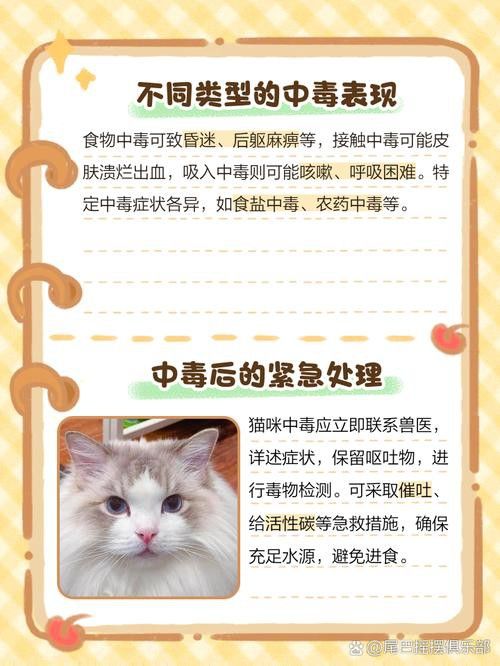 有哪些食物對龍貓和貓有害？