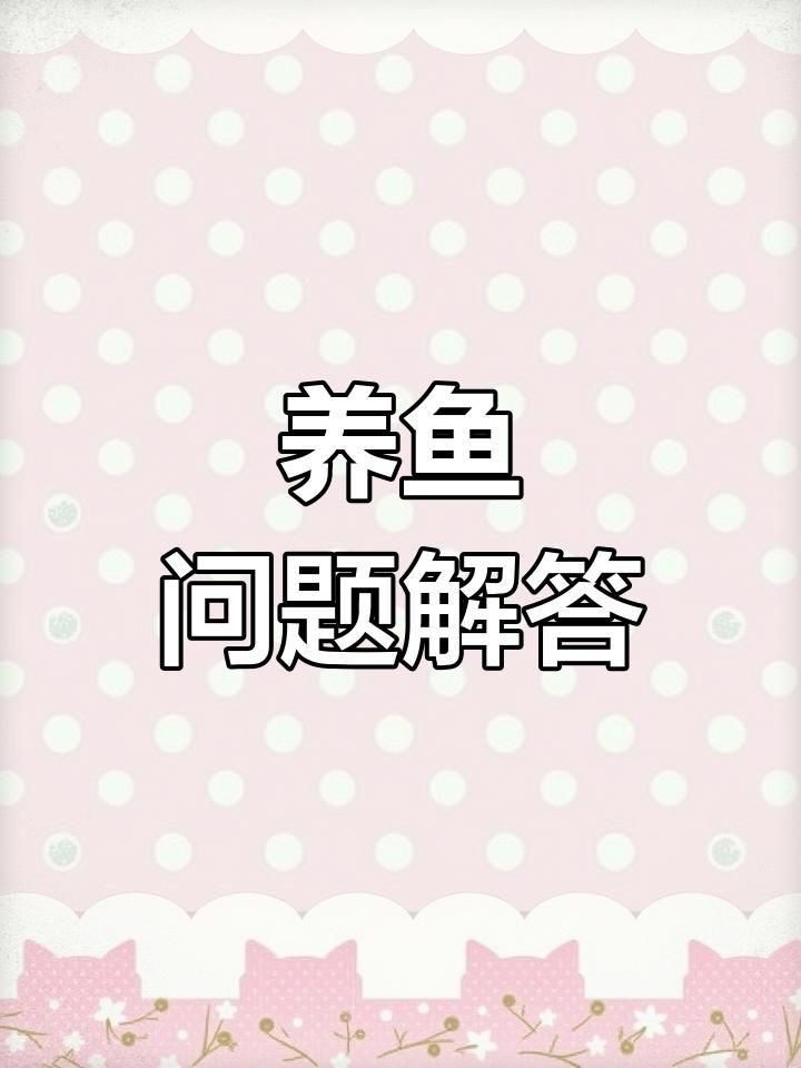 龍魚拒食有哪些常見原因？ 龍魚拒食有哪些常見原因？ 龍魚百科 第7張