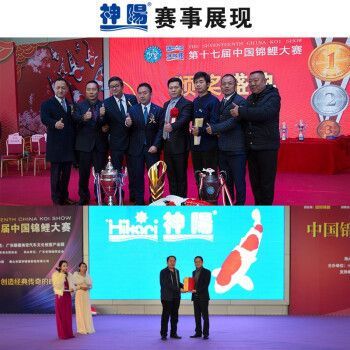 神陽飼料與其他品牌對比：神陽飼料與其他品牌飼料的對比要點：神陽飼料與其他品牌飼料對比