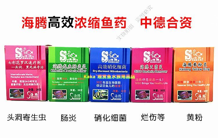什么藥治療龍魚腸炎有效果呢：龍魚患上腸炎怎么辦