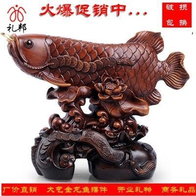 半米的金龍魚多少錢一條：辦公室養幾條金龍魚風水好嗎？