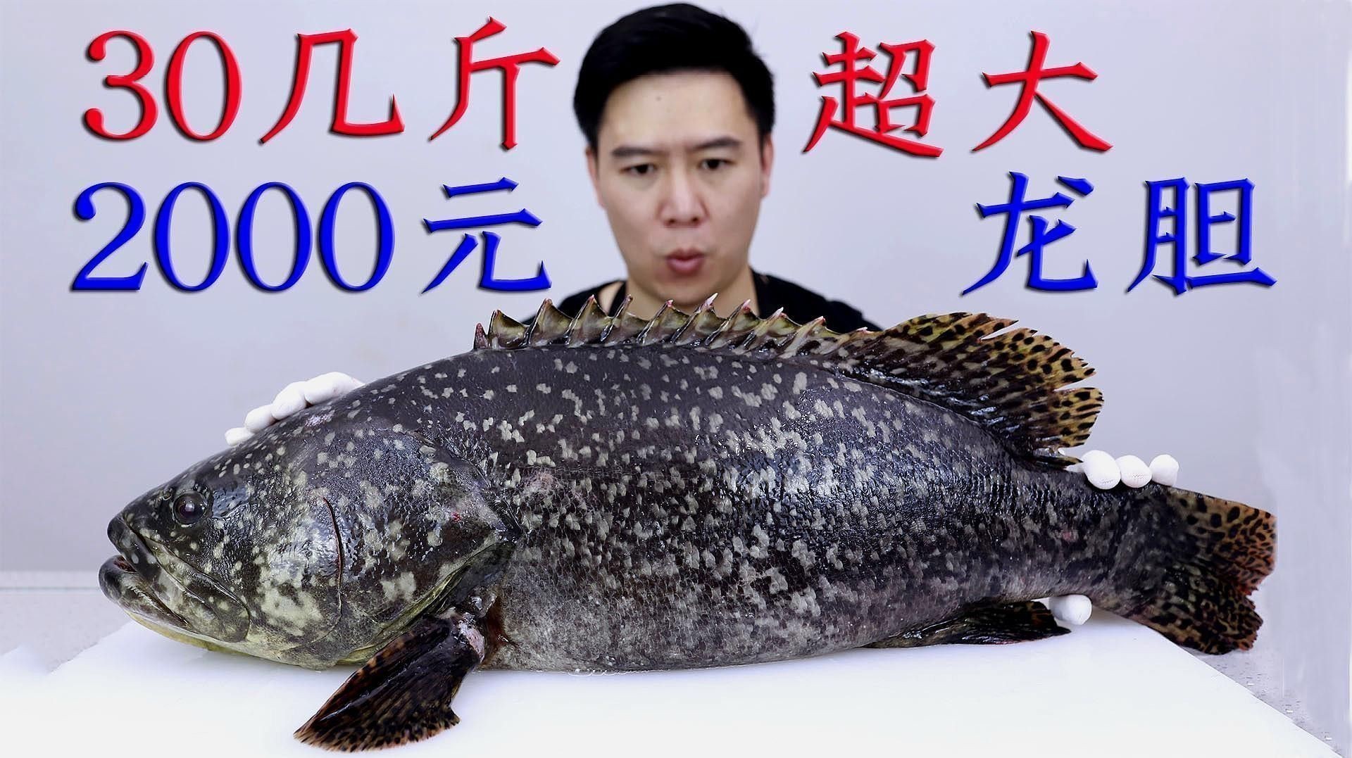 珍珠龍魚的價格是多少？