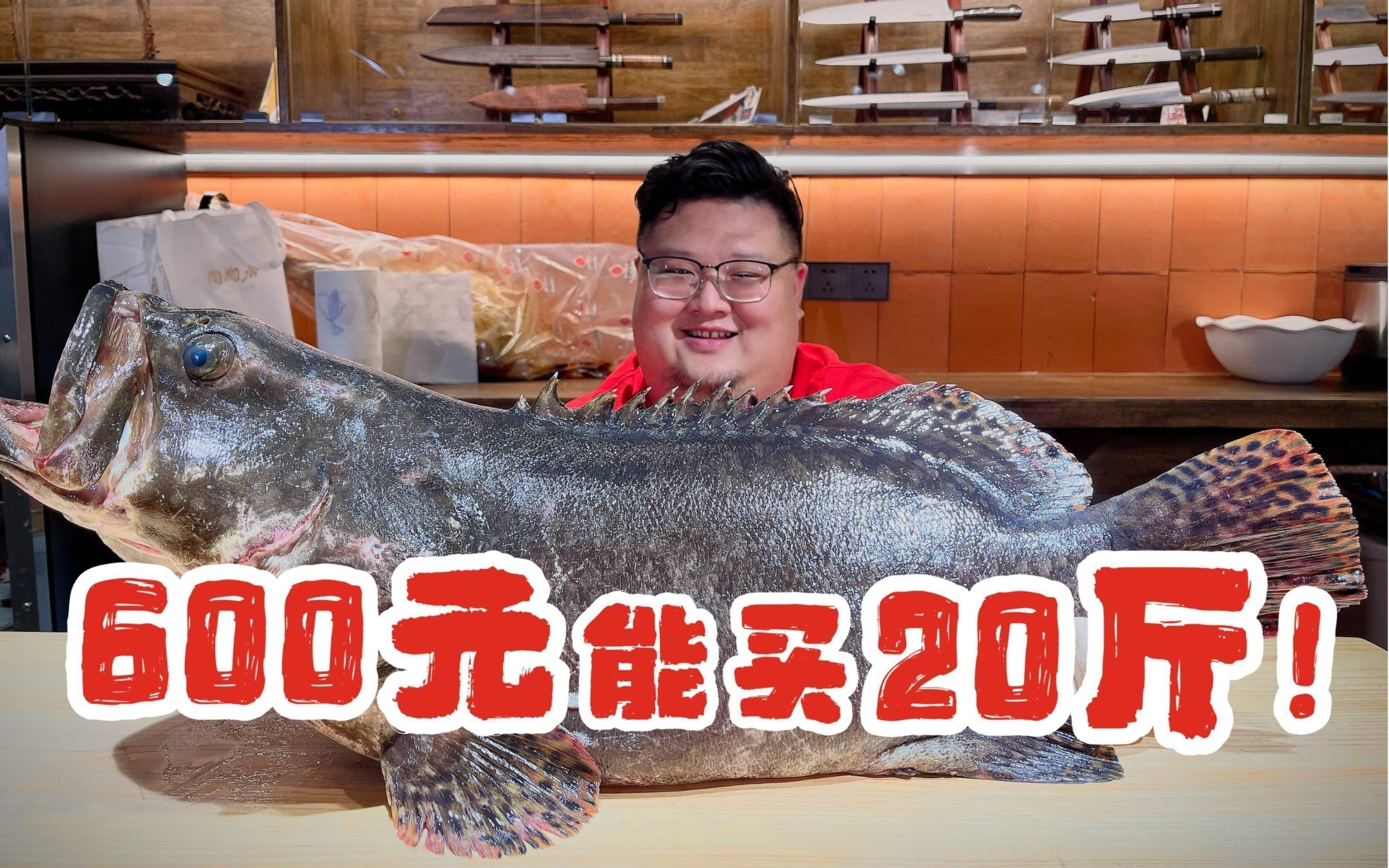 珍珠龍魚的價格是多少？