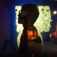 龍魚鱗片撞爛了能長嗎