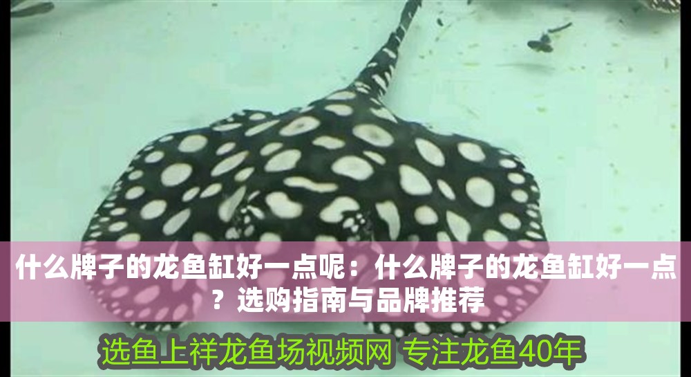 什么牌子的龍魚(yú)缸好一點(diǎn)呢：什么牌子的龍魚(yú)缸好一點(diǎn)？選購(gòu)指南與品牌推薦