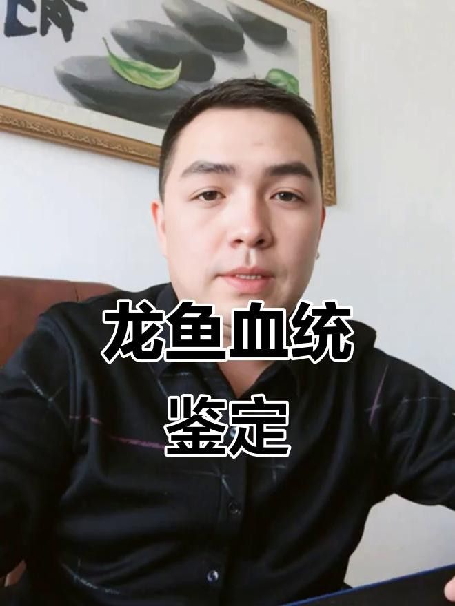 如何選擇靠譜的金龍魚血統鑒定機構？