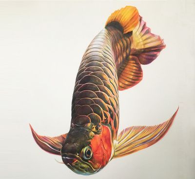 金龍魚手繪（手繪金龍魚圖案是一種傳統的藝術形式而受人們的喜愛）