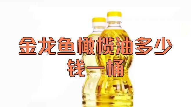 極品金龍魚什么價格能買