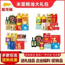 極品金龍魚什么價格能買