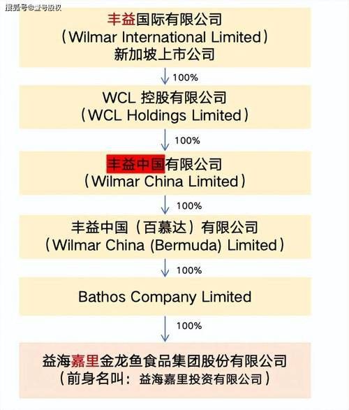 金龍魚 股權 龍魚百科 第2張 金龍魚 股權 金龍魚 股權 龍魚百科 第2張
