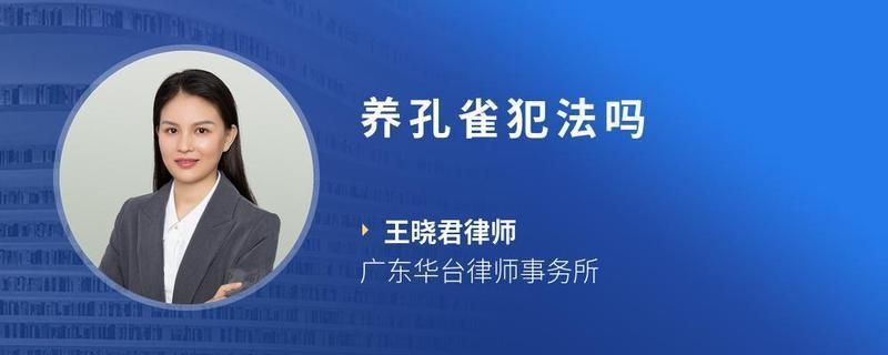 孔雀能私人養(yǎng)嗎