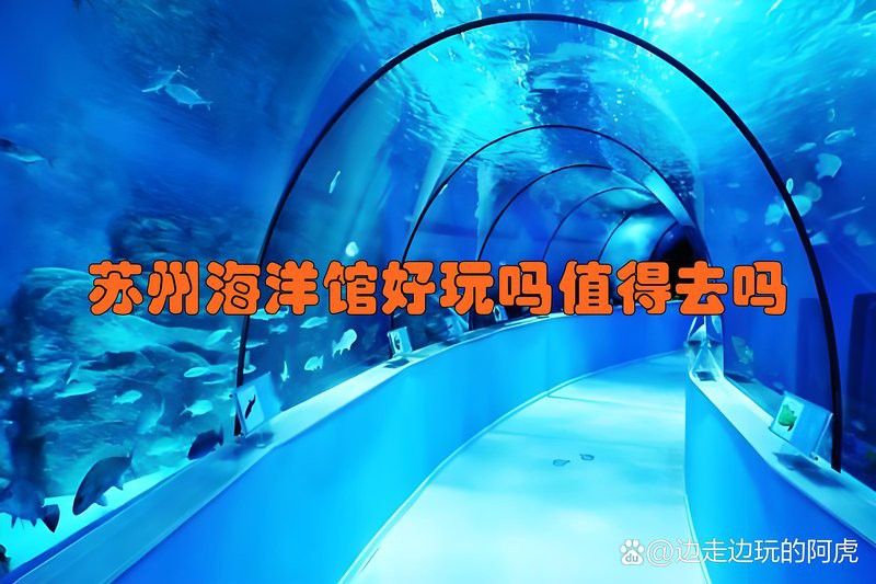 紅龍魚生長速度圖解視頻教程大全（紅龍魚生長速度圖解視頻教程大全下載）