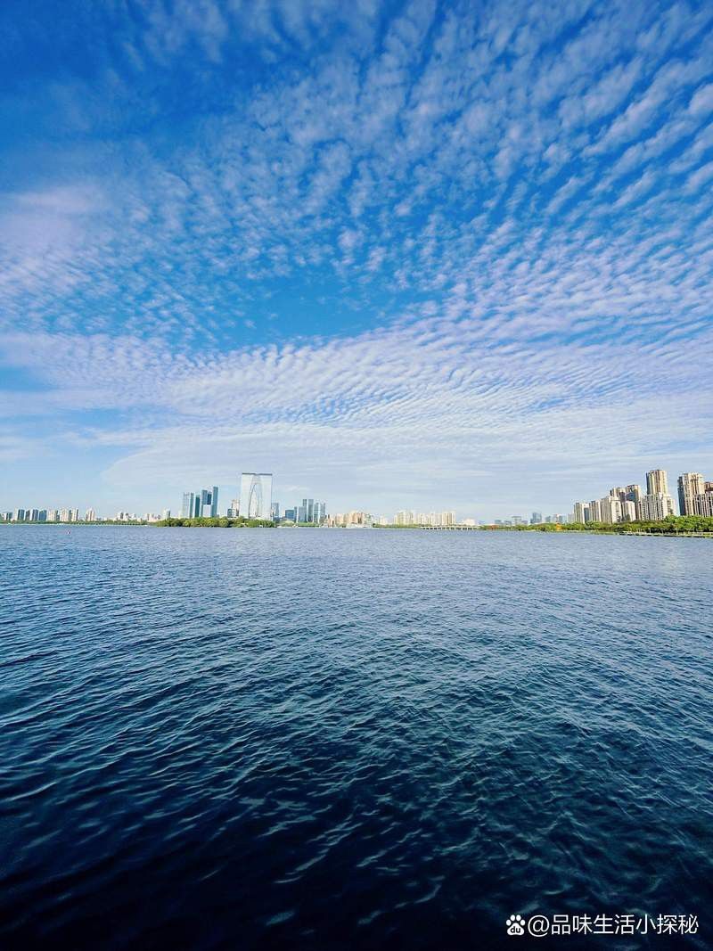 紅龍魚生長速度圖解視頻教程大全（紅龍魚生長速度圖解視頻教程大全下載） 紅龍魚生長速度圖解視頻教程大全（紅龍魚生長速度圖解視頻教程大全下載） 龍魚百科 第14張