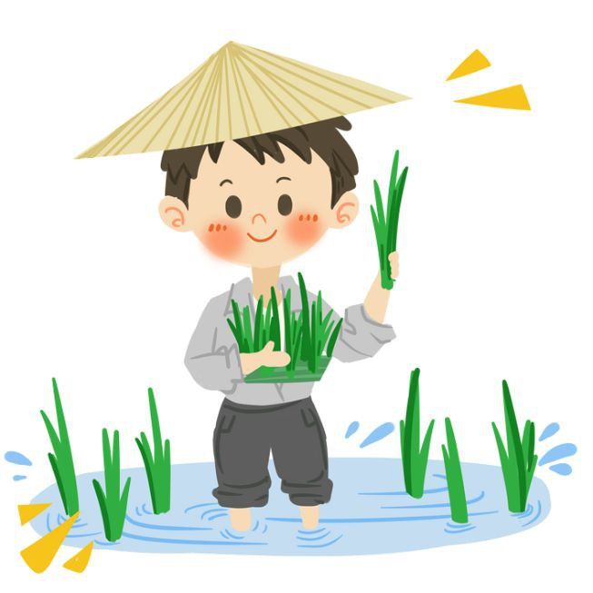 錦鯉吃什么食物比較好