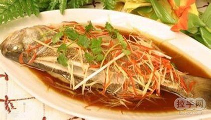 巴彥淖爾龍魚(yú)專賣店：巴彥淖爾市臨河區(qū)龍躍龍魚(yú)俱樂(lè)部]08索結(jié)果