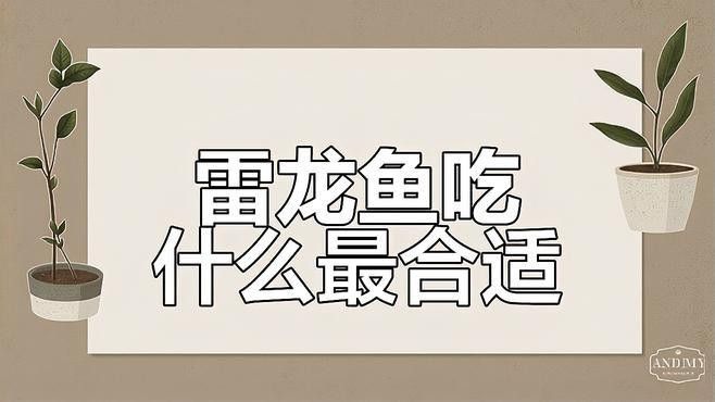 龍魚野生環境下吃什么