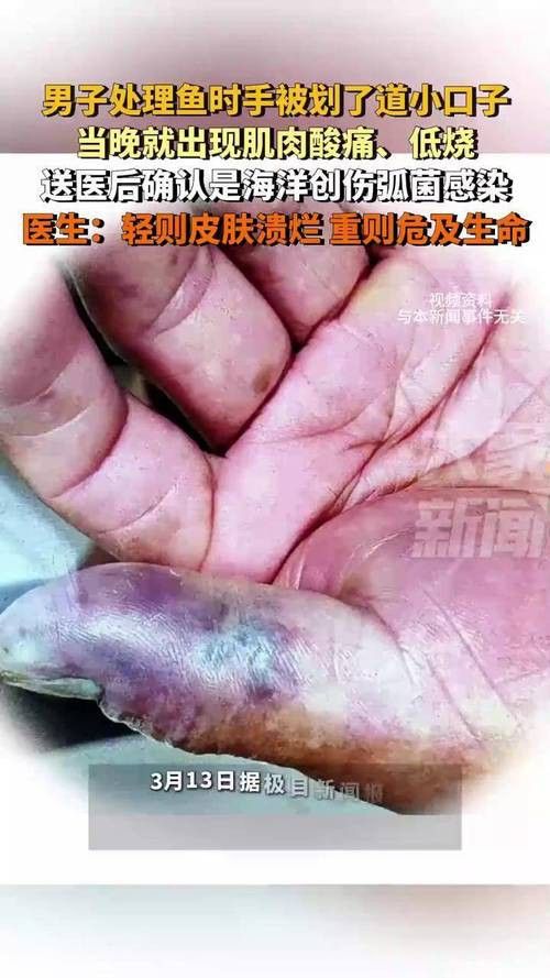 金龍魚尾巴上長了紅色疙瘩圖片
