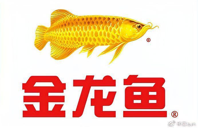 金龍魚總部總部在什么地方