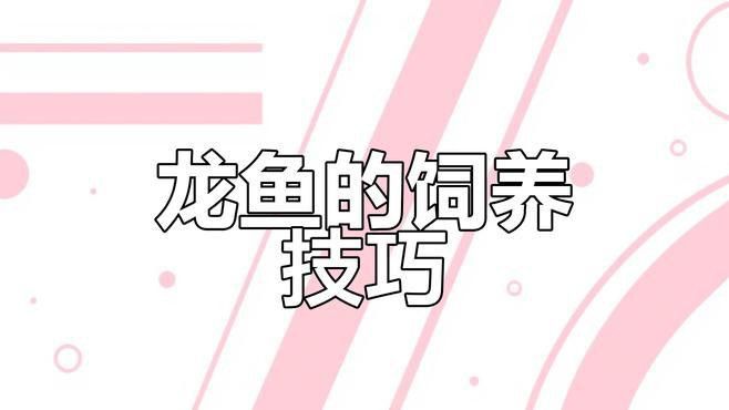 如何根據龍魚生長階段調整燈光？ 如何根據龍魚生長階段調整燈光？ 龍魚百科 第5張