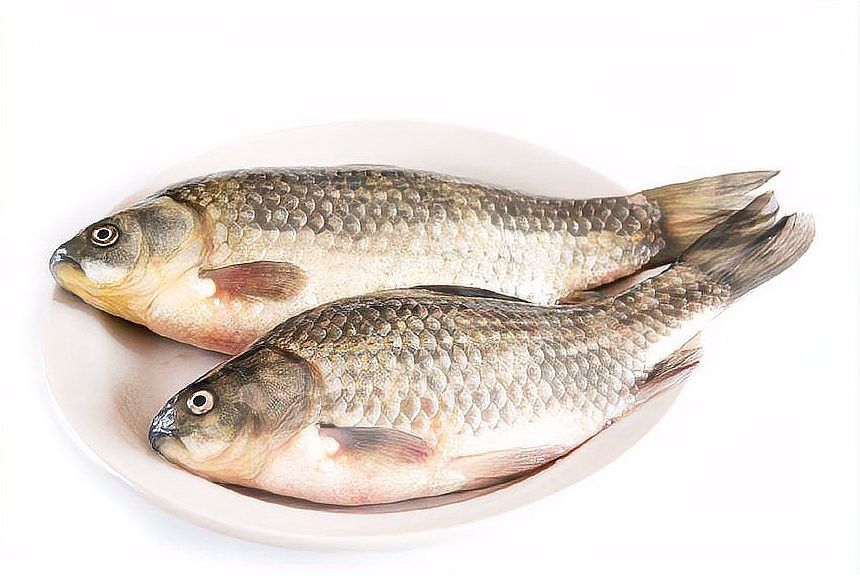 恩諾沙星對龍魚有何副作用？