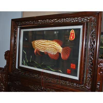 從網上買金龍魚怎么樣可靠嗎（從網上購買金龍魚可靠嗎）