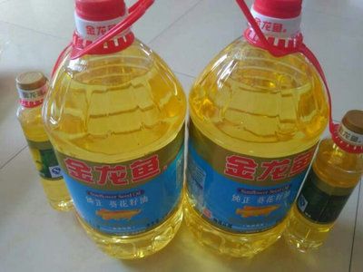 金龍魚便宜的多少錢：金龍魚價格是多少錢一條