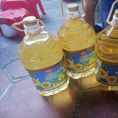 金龍魚便宜的多少錢：金龍魚價格是多少錢一條