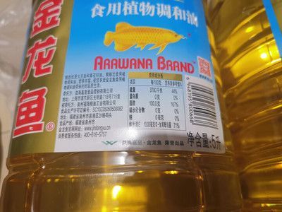 金龍魚便宜的多少錢：金龍魚價格是多少錢一條
