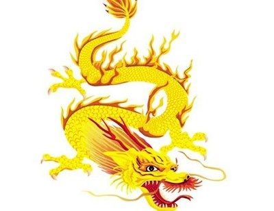 屬龍的人適合養(yǎng)什么魚招財(cái)：屬龍人養(yǎng)魚招財(cái)?shù)慕ㄗh