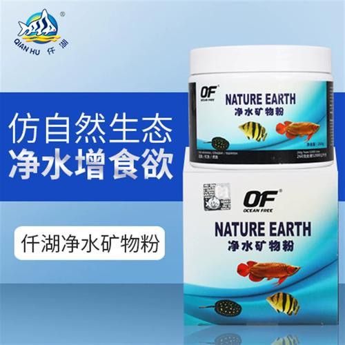 土龍魚是什么魚圖片大全大圖