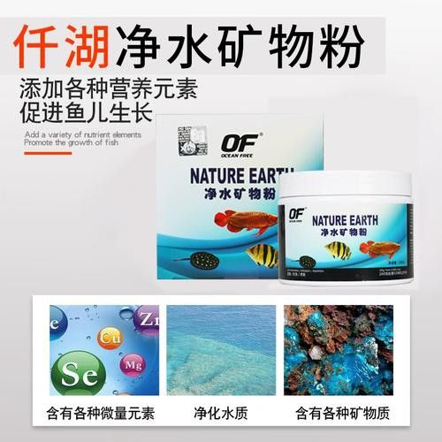 土龍魚是什么魚圖片大全大圖
