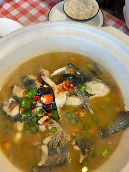 土龍魚是什么魚圖片大全大圖