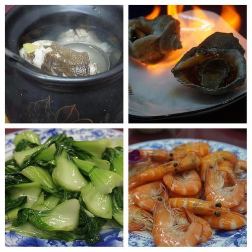 土龍魚是什么魚圖片大全大圖