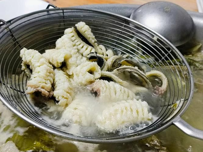 土龍魚是什么魚圖片大全大圖