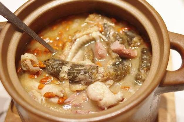 土龍魚是什么魚圖片大全大圖