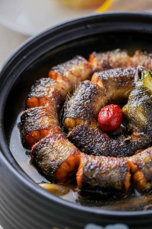 土龍魚是什么魚圖片大全大圖