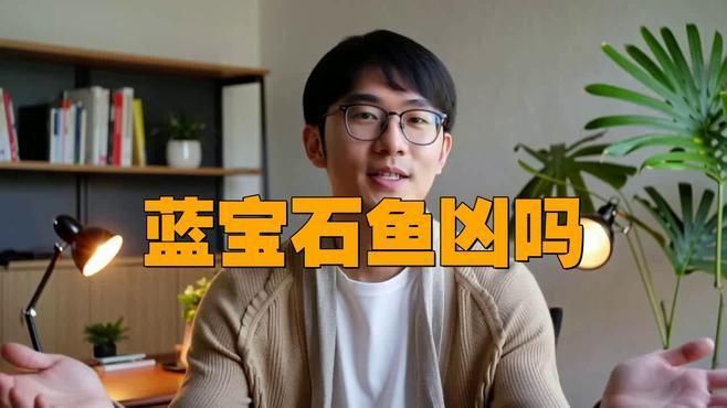 藍寶石魚能和什么魚混養 龍魚百科 第2張 藍寶石魚能和什么魚混養 藍寶石魚能和什么魚混養 龍魚百科 第2張