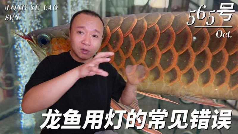 紅龍發色燈使用注意事項