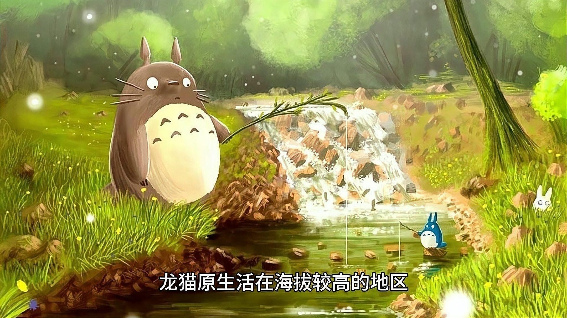 龍貓適合什么季節養？