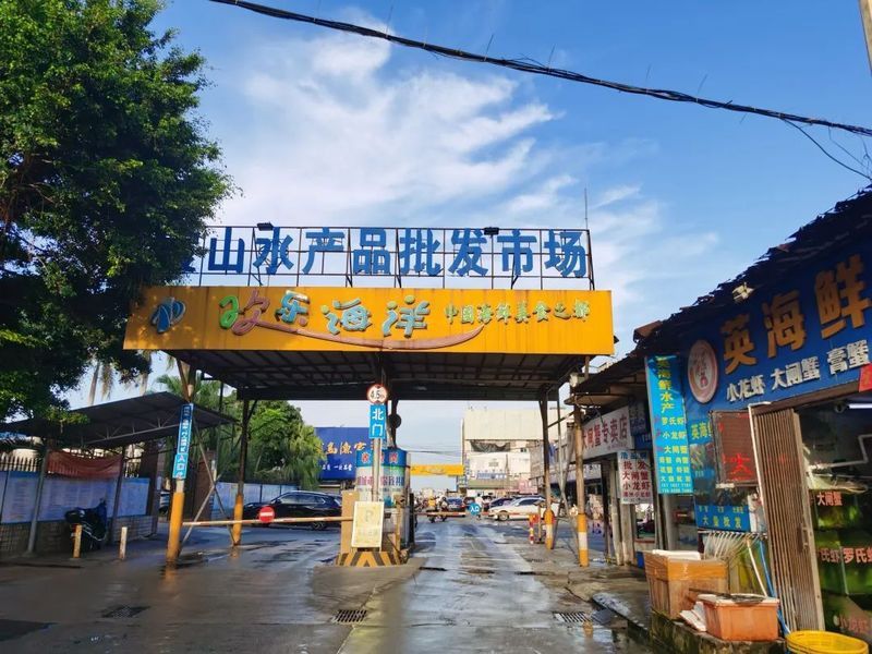 湛江龍魚批發市場地址在哪里