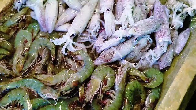 湛江龍魚批發市場地址在哪里
