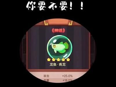 龍魚(yú)青龍屬性（《咸魚(yú)之王》龍魚(yú)青龍與其他魚(yú)靈對(duì)比咸魚(yú)之王釣魚(yú)技巧分享）
