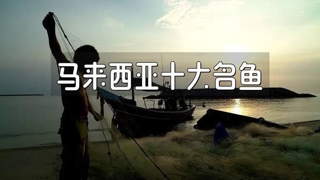 馬來西亞最建議買的5種魚