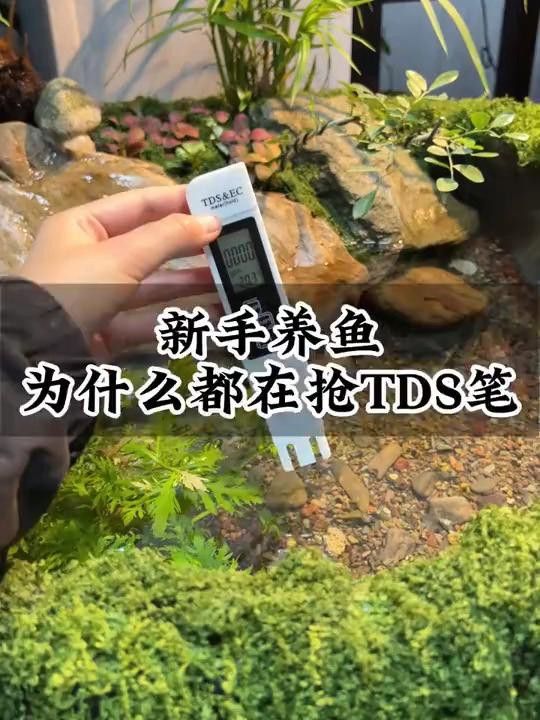 如何檢測水質參數，確保安全換水？